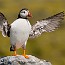 thumbs/IMG_1759.jpg
